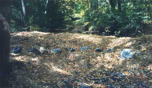 Streambank rehabilitation along Tom's Run