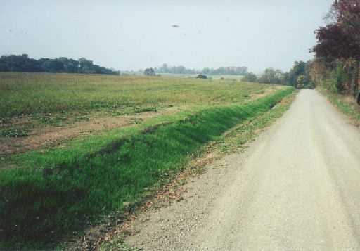 Road bank stabilization