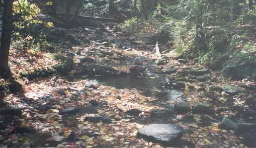 Picture of stream with improved water quality