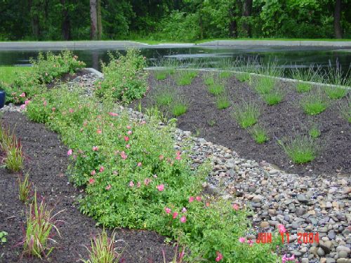 Biorentention infiltration trench