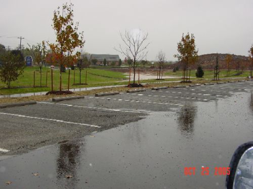 Porous concrete parking area with an infiltration basin in the background