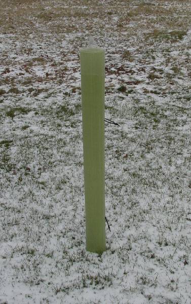 Image of tree shelter with bird net on top